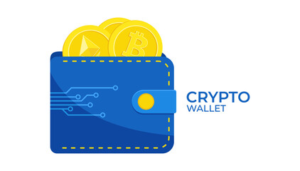 What are Crypto Wallets